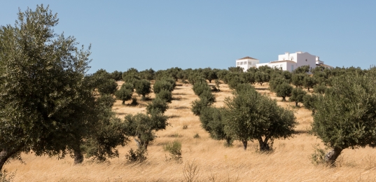 O elogio da arte e da natureza | TimeOut