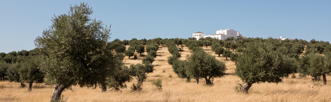 O elogio da arte e da natureza | TimeOut